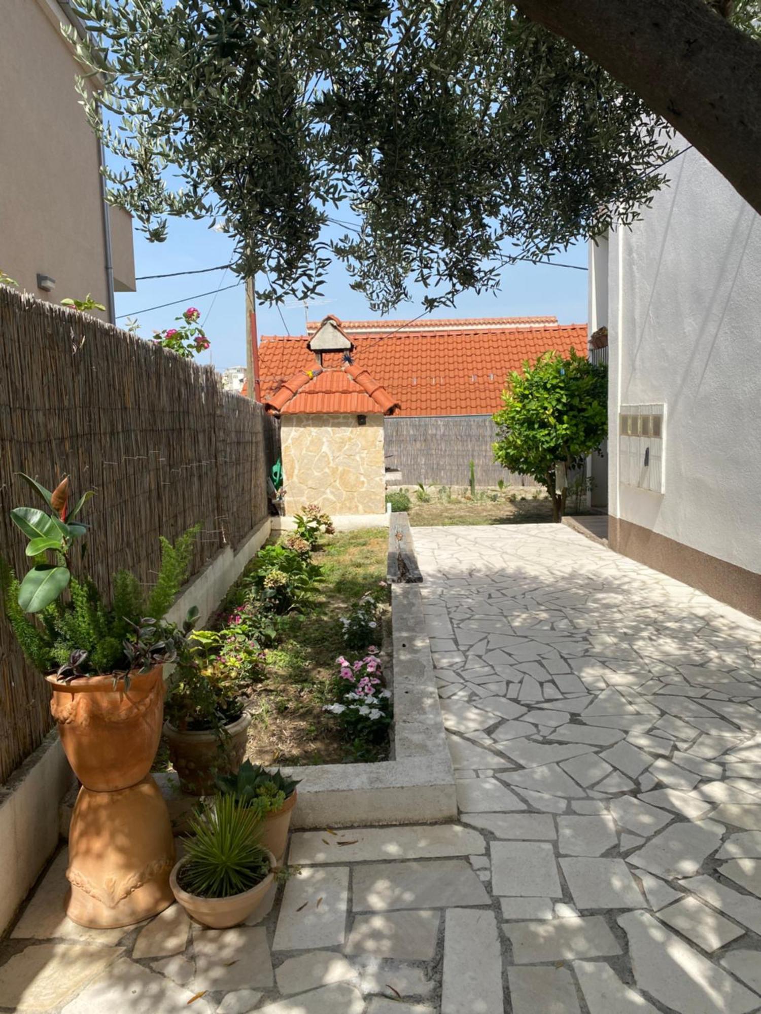 Apartament Olive